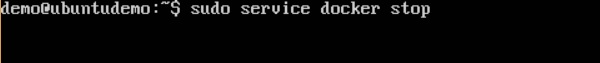 Docker Daemon Process