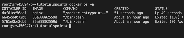 Docker PS