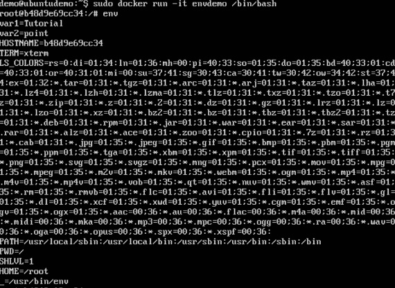 ENV Command