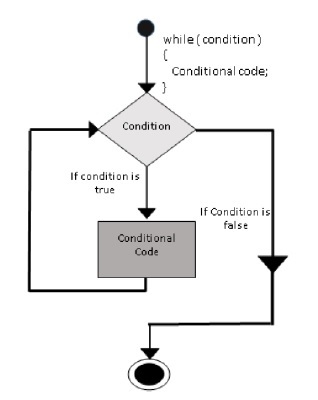 While Loop